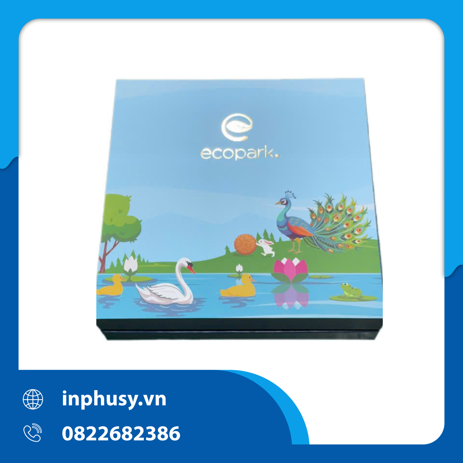 Hộp Cứng Cao Cấp